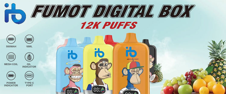 Elektronik Sigara İçin İdeal Pil Şarj Aleti Seçimi